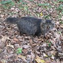 ���� ����, ���������, 31 ��� - ��������� 16 ��� 2010 � ������ �������