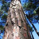 ��������, ���������� ����� �� ������� ��������