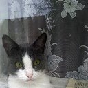 ��� ��� �����.. �� ������� ���� ����������