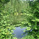 ���� �����, ���������, 49 ��� - ��������� 30 ���� 2012