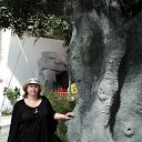 ���� �������, ������, 57 ��� - ��������� 29 ���� 2011 � ������ ���� ����������