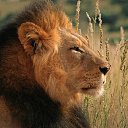 ���� ����, �����, 52 ���� - ��������� 2 ����� 2012