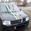 ���� ��������, ������, 42 ���� - ��������� 4 ��� 2013 � ������ ���� ����������