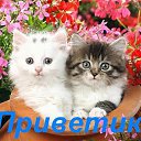 � ����� �������� ���� vk.com/fotiko �� ������� ���� ����������