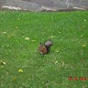  , , 32  -  27  2009     . 26.09.09