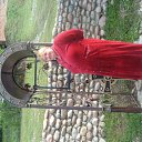 ���� ��������, �������, 66 ��� - ��������� 7 ��� 2012 � ������ �����������