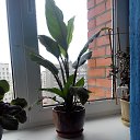 ���� �����, ������ - ��������� 15 ���� 2013 � ������ ���� ����������