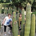 - , , ... 
- ? 
- ,   , , , ,   ,   ,   ...
     