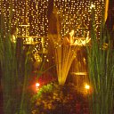 ���� ��� � �����, ��������, 25 ��� - ��������� 29 ������� 2010