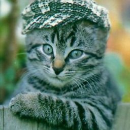 ������, ������, 69 ���