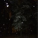  ,   -  11  2011    2011-2012.