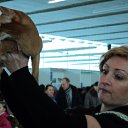 ���� �����, ����� - ��������� 1 ������� 2011 � ������ ��������� ����� � �����.����� 2011�