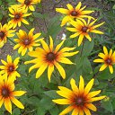  **** , , 64  -  14  2011    20011