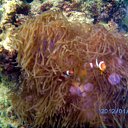 ���� ����, �������-��������� - ��������� 30 ������ 2012 � ������ ��� �������� �������. �.������ ������2012�.�