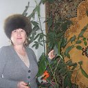 27.01 �� ������� ���� ����������