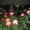 ���� �����, ������, 43 ���� - ��������� 14 ������� 2011 � ������ ���