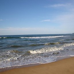 ���� �����, ���������, 60 ��� - ��������� 4 �������� 2009