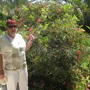  , , 68  -  3  2010   -2010