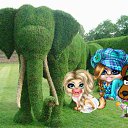 � ����� ����� �� ������ �� ������� �������� ������� �������