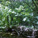 ���� ����, ����������� - ��������� 15 ���� 2013 � ������ ��� �����