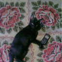 ���� ��������, ������, 50 ��� - ��������� 4 ������� 2011