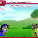 ���� ����, ������, 25 ��� - ��������� 16 �������� 2010 � ������ �PetLove�