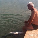 ���� M Oil, ������, 60 ��� - ��������� 31 ���� 2012 � ������ �2�