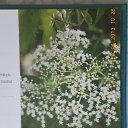 ���� �������, �������� - ��������� 16 ������ 2013 � ������ �������������� ��������.�