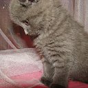 ���� Super Star �����, ������������, 50 ��� - ��������� 21 ������� 2012 � ������ ���-���