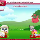   , , 23  -  2  2010   PetLove