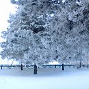 ���� �������� ��������, �����-��������, 51 ��� - ��������� 18 ������ 2013 � ������ ��Ψ ������Ż