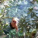 ���� ����, �����������, 37 ��� - ��������� 17 ������ 2011