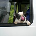 ���� ������, ��������, 62 ���� - ��������� 1 ������� 2012 � ������ ���� ����������