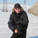 ���� �����, ��������, 41 ��� - ��������� 31 ����� 2013 � ������ ���� ����������