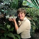   , , 62  -  11  2010   ,   ...