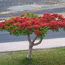 �� ��������� �������� ������� ��� � ������.... �� ������� ���� ����������