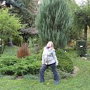 ���� ������ ��������, ������, 41 ��� - ��������� 2 ���� 2013 � ������ ���� ����������