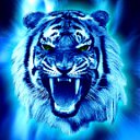 ���� �������, ���������, 49 ��� - ��������� 1 ������� 2011 � ������ ���� ����������