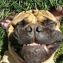 ���� ����, ������������, 61 ��� - ��������� 13 �������� 2011 � ������ �������