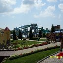   , , 43  -  3  2010    2010