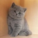 ���� �������, ������� - ��������� 16 ������ 2012 � ������ ��������� ���������