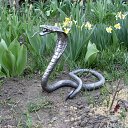 ���� ``` Qush, ������, 40 ��� - ��������� 22 ���� 2013