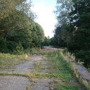 ���� ����, ������ ��������, 41 ��� - ��������� 24 ������ 2009 � ������ ����������