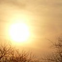  .,  -  11  2011    