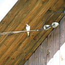  , , 45  -  22  2009   .