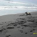 ���� ��������, �������, 66 ��� - ��������� 17 �������� 2011 � ������ �������