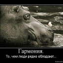 ���� .......�����, ������, 62 ���� - ��������� 28 ���� 2013 � ������ �������