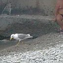 ���� ������, ����, 44 ���� - ��������� 16 �������� 2011 � ������ �����-������� ������