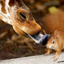 ���� Limon, ���������, 39 ��� - ��������� 10 ���� 2009 � ������ ���� �������� ��������...�