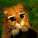 ���� ���������, �����, 31 ��� - ��������� 21 ���� 2012